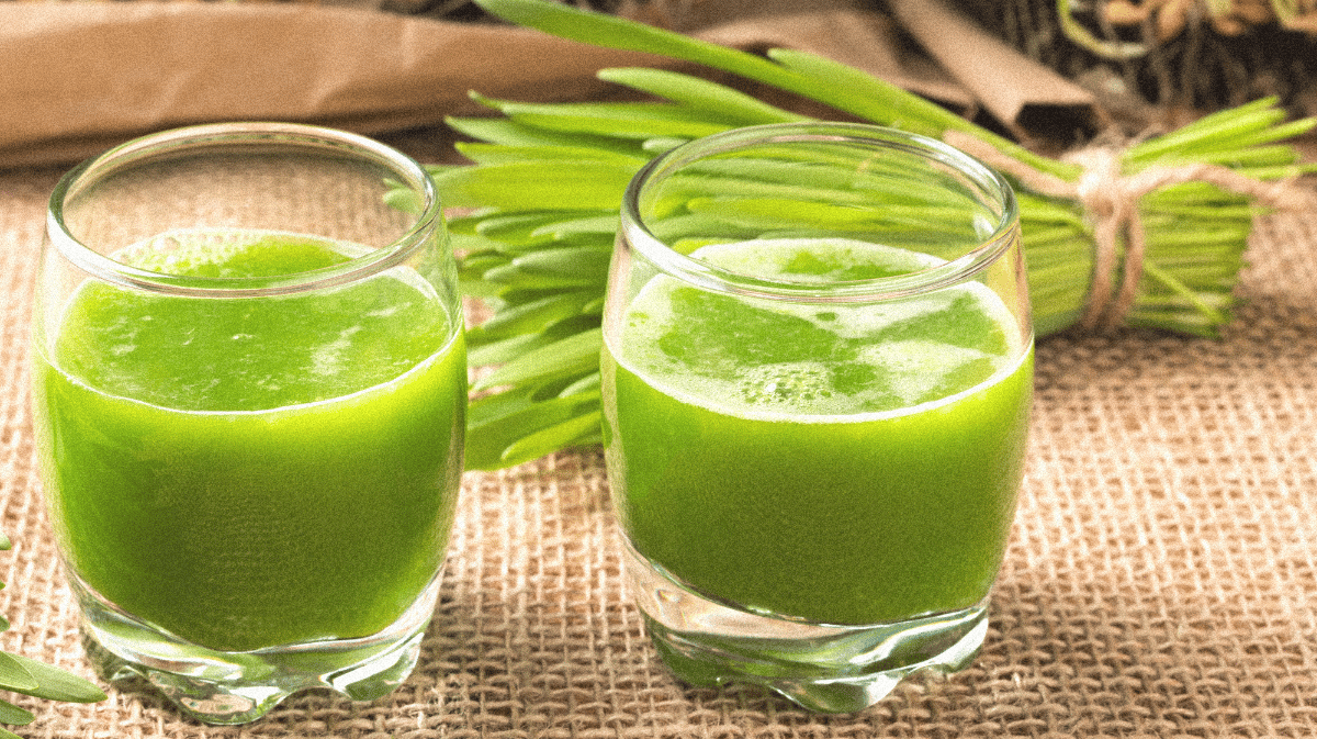 Green Magma : une boisson naturelle aux nombreux bienfaits